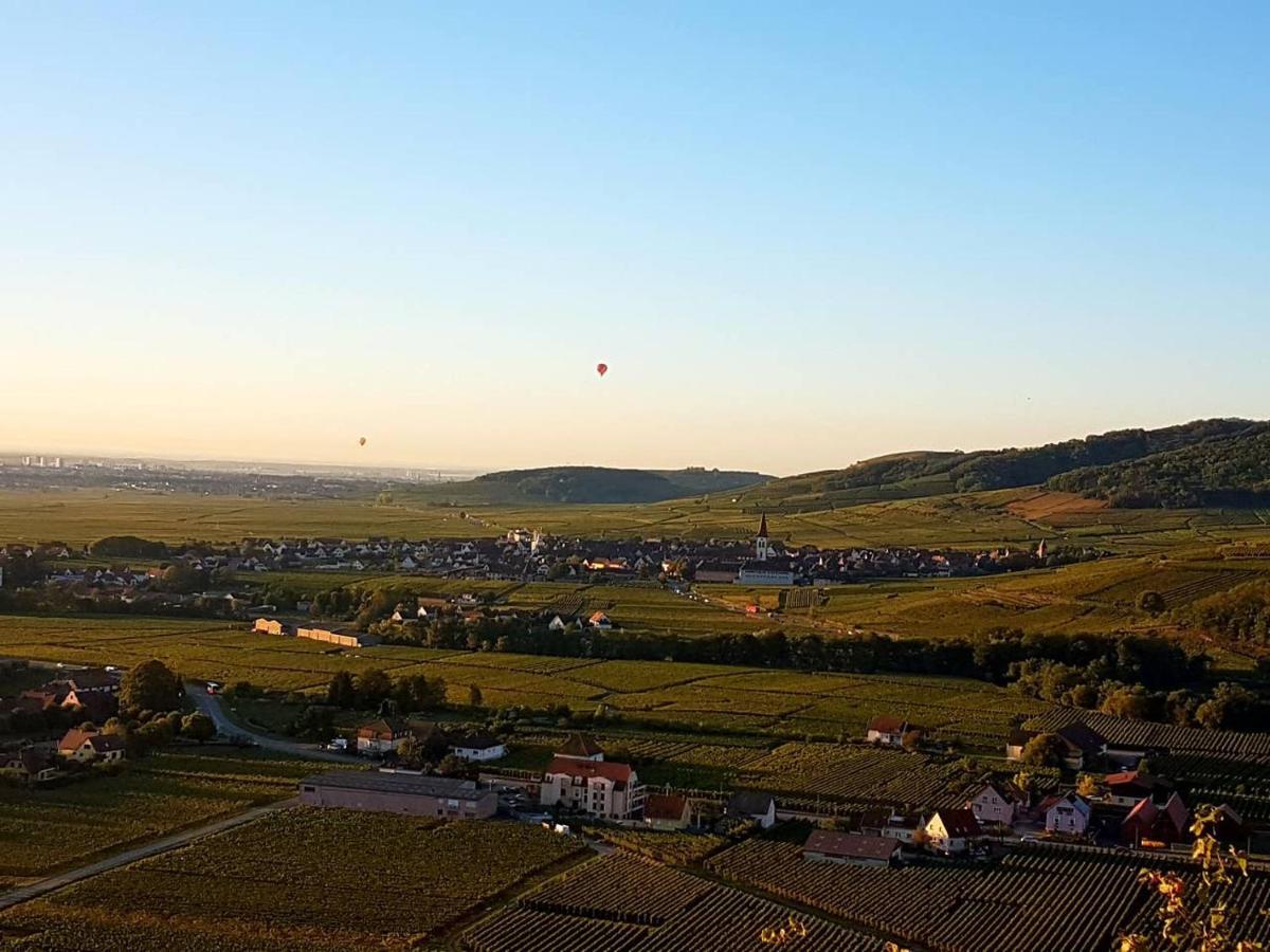 Naova Cosy Studio Kaysersberg-Vignoble Zewnętrze zdjęcie